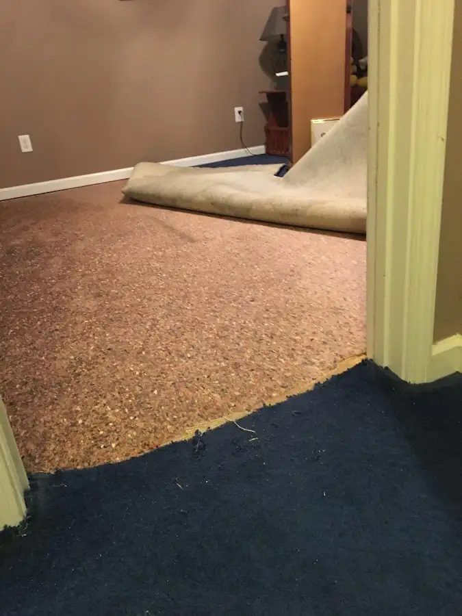 Carpet pad removal revealing water damage during Drying & Dehumidification in Edgemoor