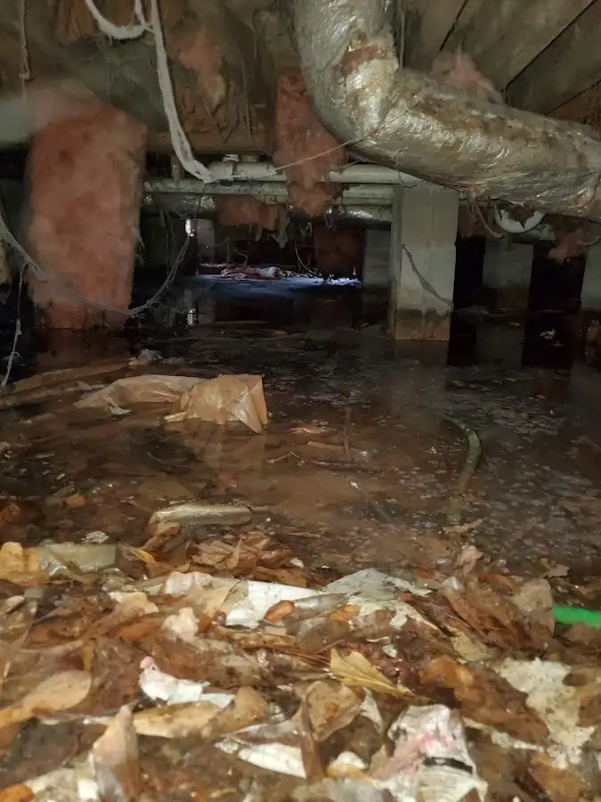 Crawl space flood assessment for Leak Detection & Repair in Edgemoor